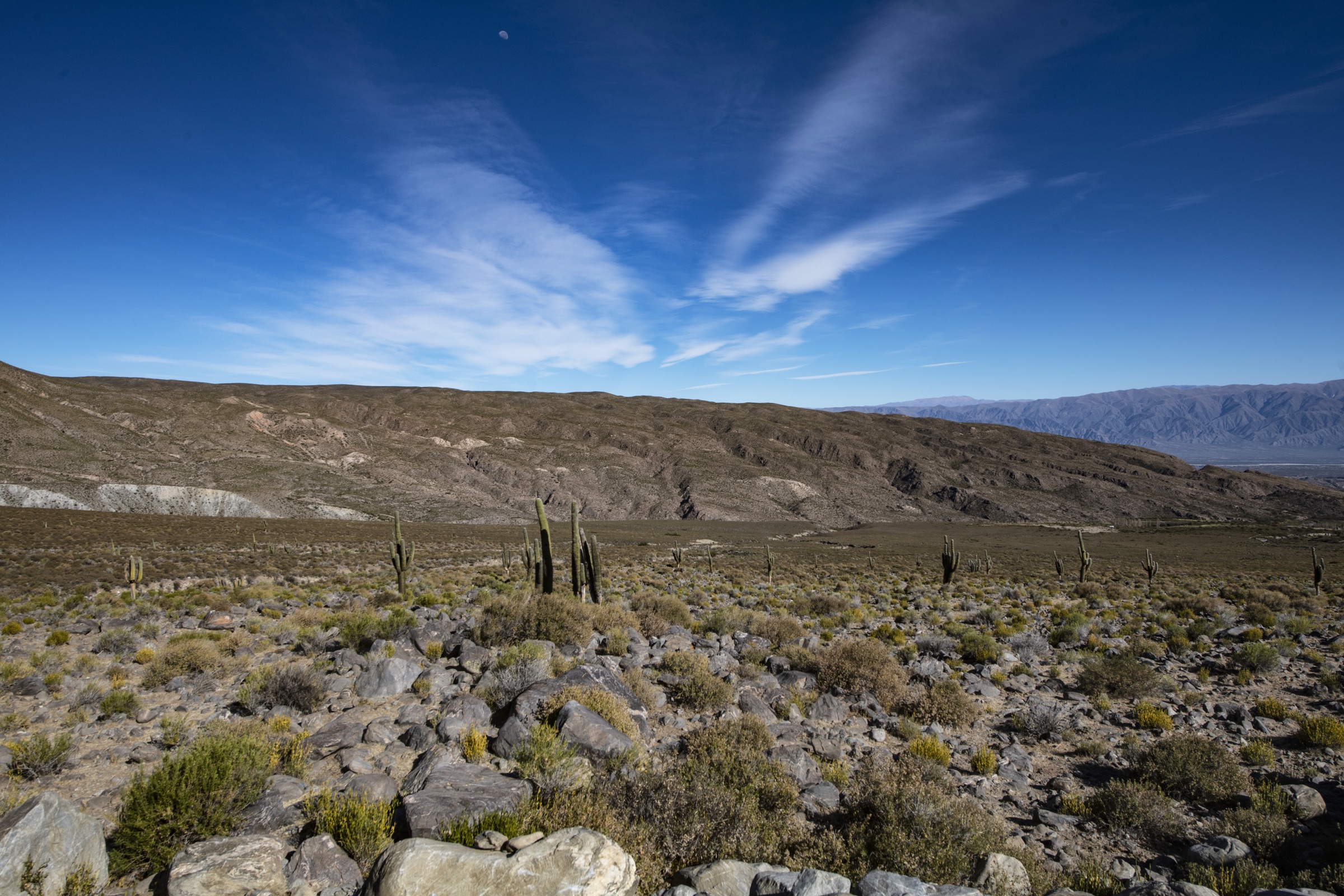 Paysage montagneux du Nord argentin